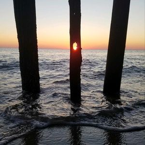 Meet your Posher, Traci